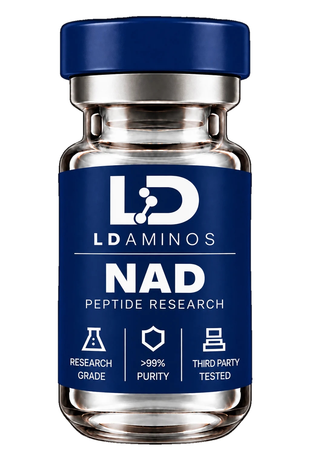 NAD+ (Nicotinamide Adenine Dinucleotide)