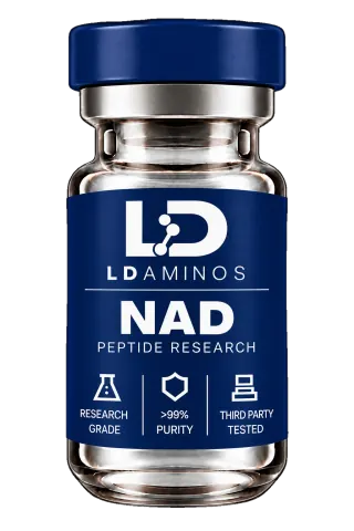 NAD+ (Nicotinamide Adenine Dinucleotide) research vial